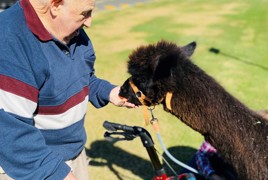 FarmDay.jpg FarmDay.jpg