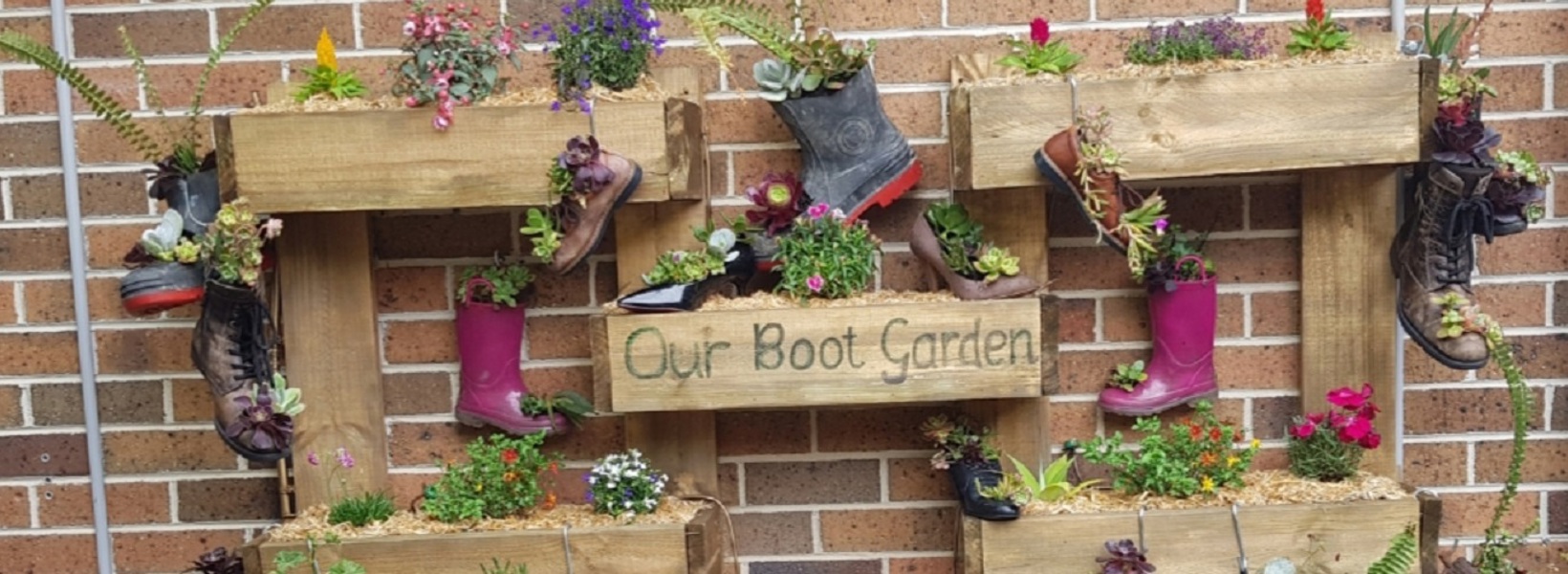 Best In Grow competition Charlesbrook Best In Grow competition Charlesbrook