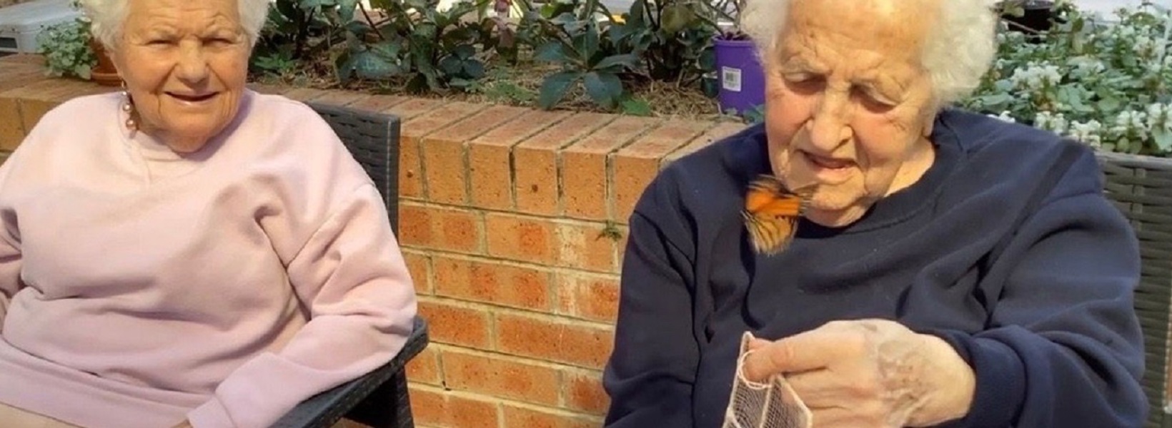 Two elderly ladies releasing a butterfly from its cage  Two elderly ladies releasing a butterfly from its cage