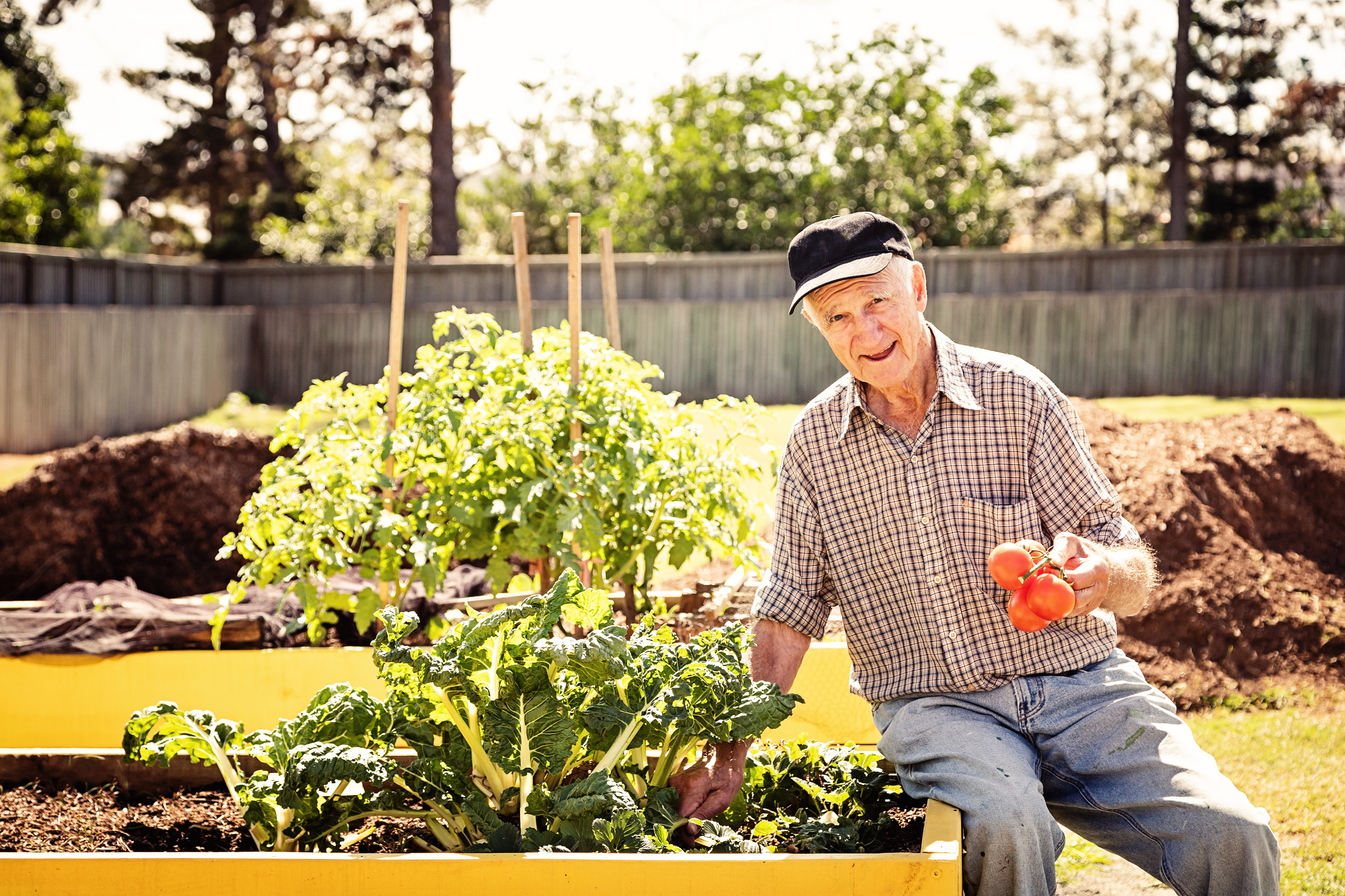 Westhaven Elmore Lloyd.jpg