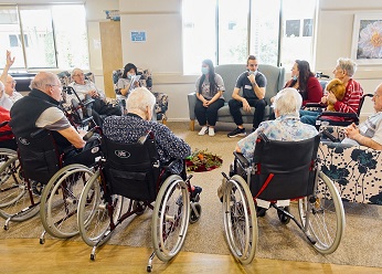 final life stories circle._teaser.jpg