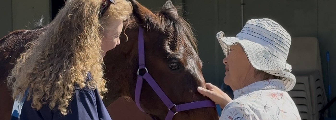 Galleon Gardens residents getting to know ex-race horses.jpg