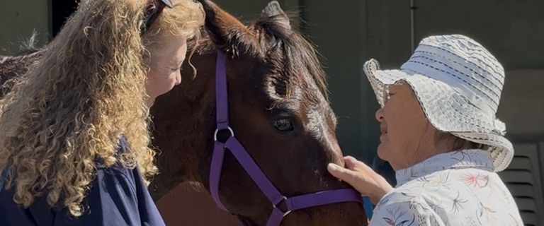 Galleon Gardens residents getting to know ex-race horses.jpg Galleon Gardens residents getting to know ex-race horses.jpg