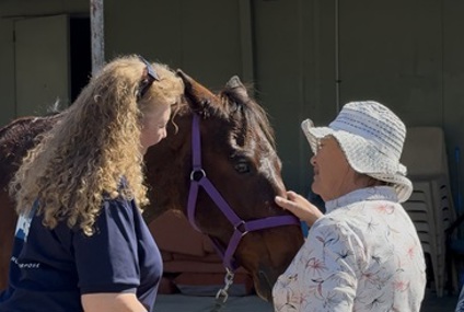Galleon Gardens residents getting to know ex-race horses_.jpg Galleon Gardens residents getting to know ex-race horses_.jpg