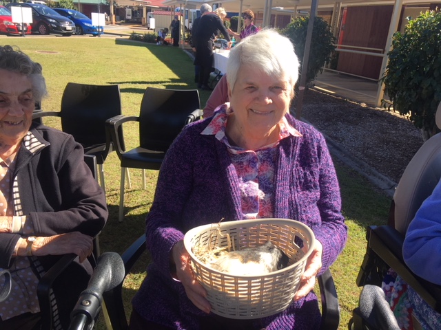 Inverpine Ekka Day 2019 (1).JPG