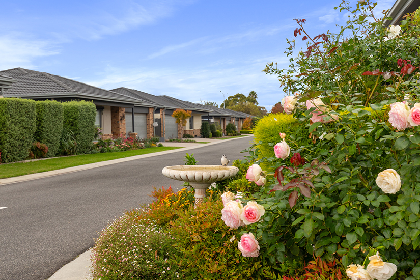 Casey Grange - carousel