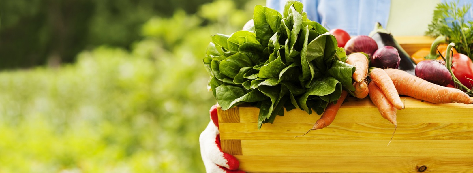 breezesmarketdayweb.jpg breezesmarketdayweb.jpg