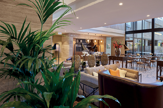 Europa on Alma - lifestyle